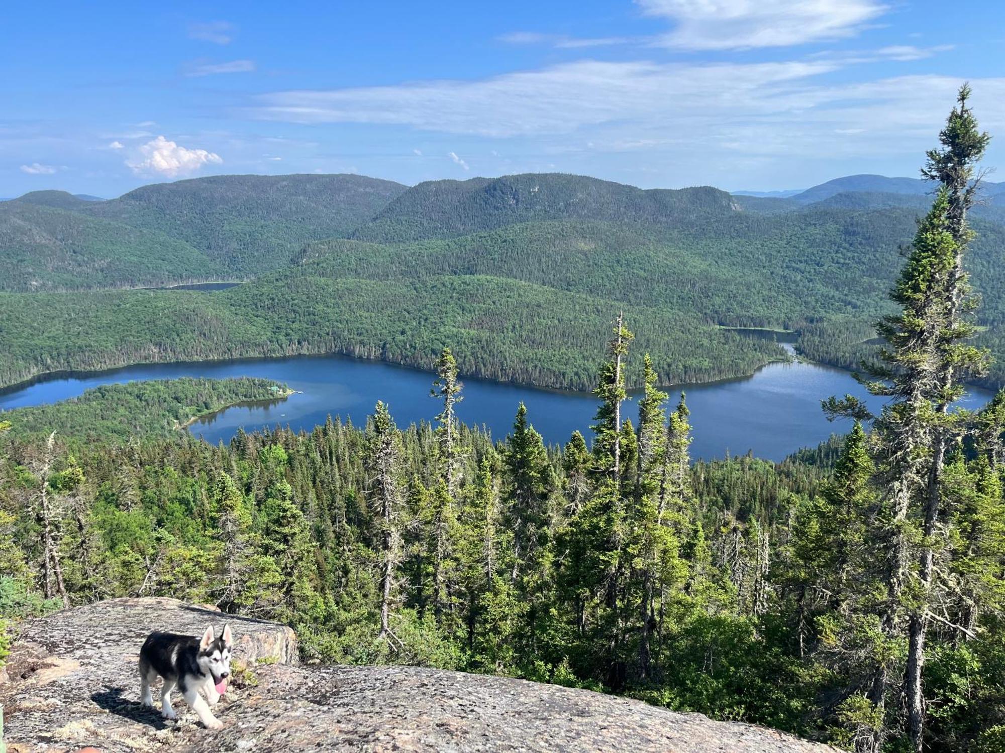 Auberge Boreale De Charlevoix Petit-Saguenay Luaran gambar
